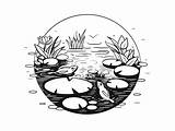 Pond Life Coloring Page  sketch template