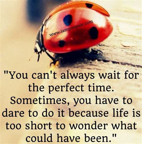 Lady bug and a great quote = serenity | Ladybug quotes, Thinking of you ...