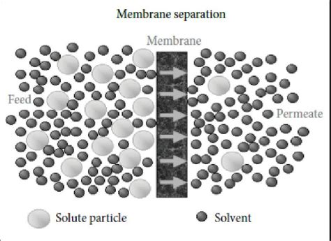 Membrane separation process principle [6] | Download Scientific Diagram