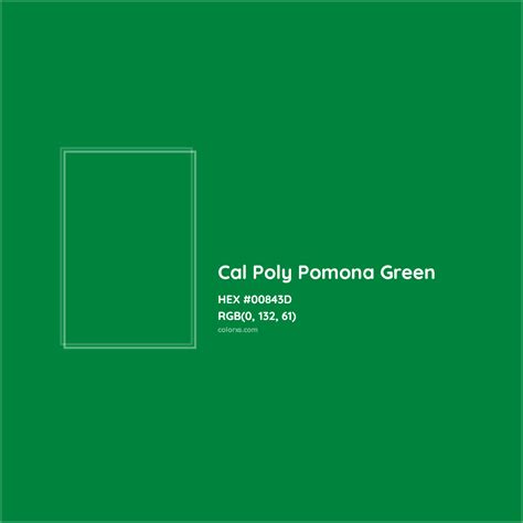 About Cal Poly Pomona Green Color - Color codes, similar colors and paints - colorxs.com
