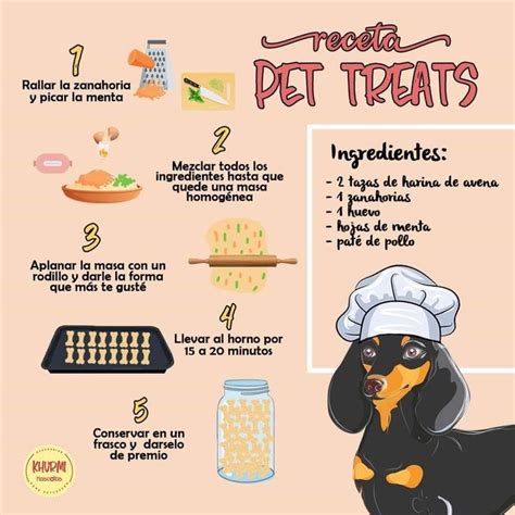 Introducir 102+ imagen recetas de comida para perros - Abzlocal.mx