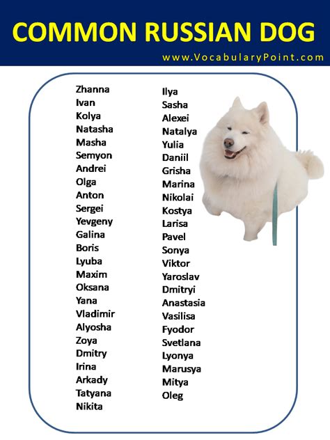 Most Popular Russian Dog Names - Vocabulary Point