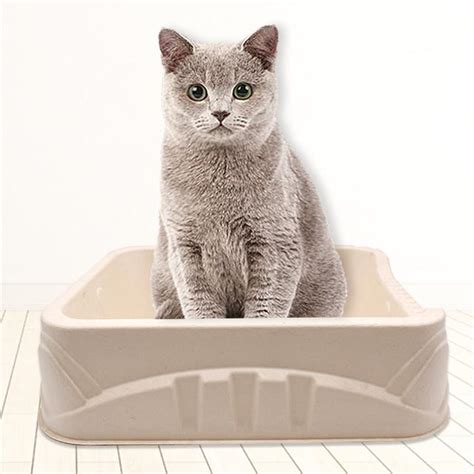 Biodegradable cat litter box degradable litter tray - Qingdao Xinya Molded Pulp Packaging ...