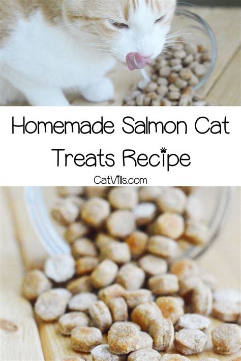 Homemade Salmon Cat Treats Recipe | Cat treat recipes, Cat treats homemade, Homemade cat food