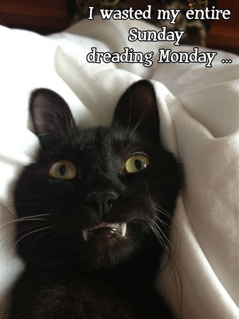 Monday blues - Meme Guy