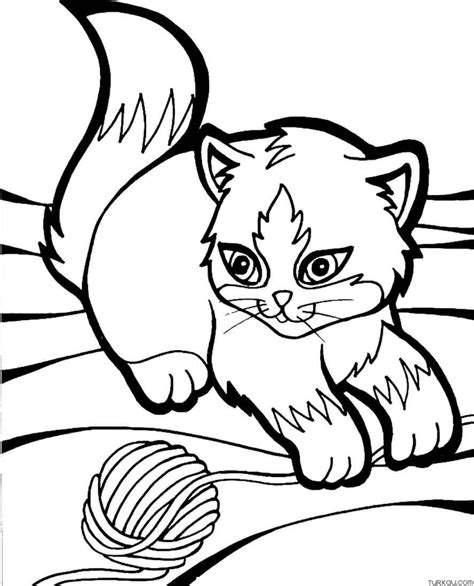 Fancy Kitten Coloring Page » Turkau