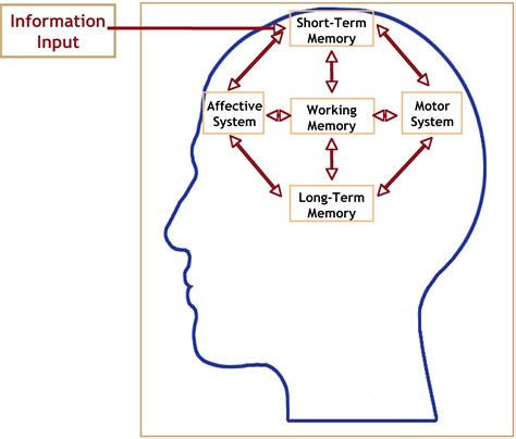 Concept Map Of Memory System | US States Map