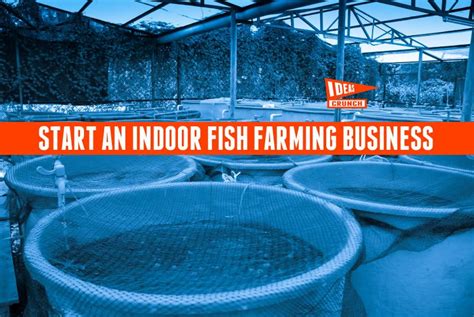 Start an Indoor Fish Farming Business | Fish farming, Farming business ...