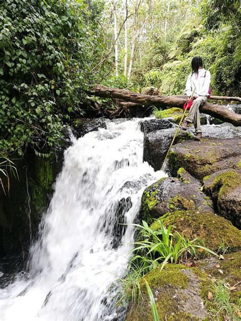 10 Best Forest Hiking Trails in Kenya | Hikemaniak