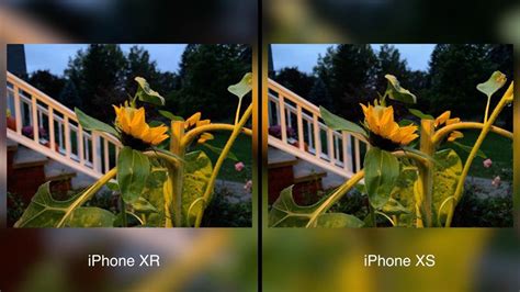 Camera Comparison: iPhone XR vs. iPhone XS Max - MacRumors