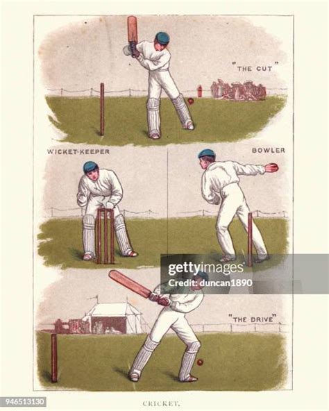 726 Cricket Bat History Stock Photos, High-Res Pictures, and Images ...