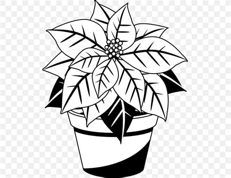 white poinsettia clipart 10 free Cliparts | Download images on Clipground 2024