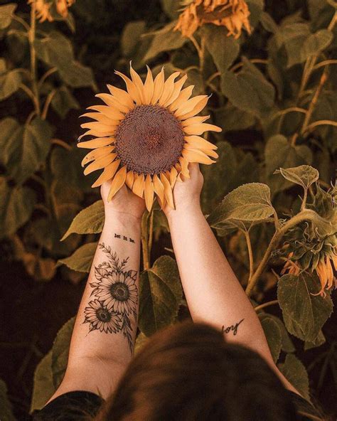 Sunflower Meaning Tattoo: Delving into Tattoo Meanings and Interpretations