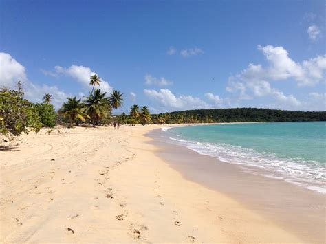 Vieques | Vieques, Beach, Outdoor