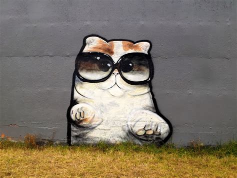 Cat Graffiti | Caterville