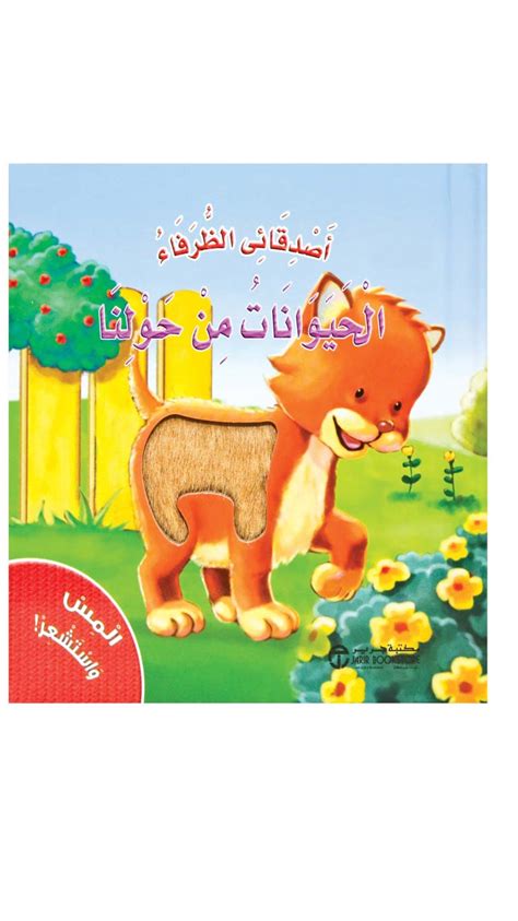 Touch & Feel The Animals Around Book • Yuehlia