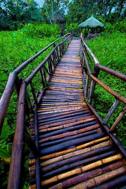 Bamboo Bridge | Bamboo architecture, Tropical house design, Bamboo ...