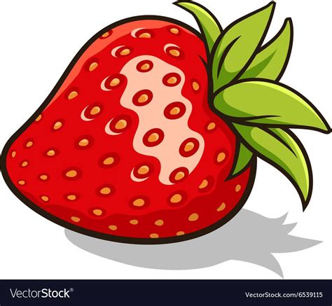 Strawberry 001 Royalty Free Vector Image - VectorStock | Pumpkin vector, Fruits drawing, Fruit ...