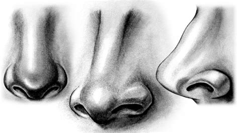 Amazing How To Draw Realistic Nose For Beginners in the world Check it ...