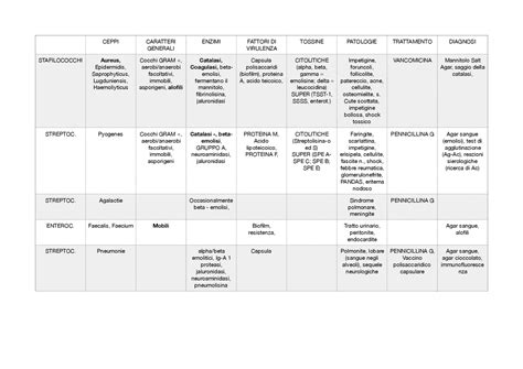 Schema batteri microbiologia | Schemi e mappe concettuali di Microbiologia | Docsity