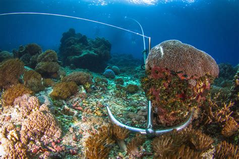 What Impact Does Anchoring Have on Marine Environments? — Pacific Asia Travel Association