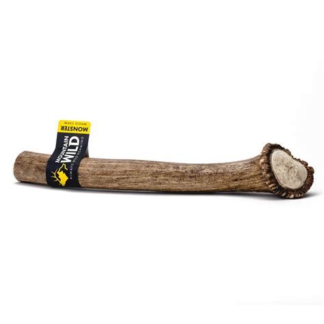 WHOLE ANTLER CHEWS – Mountain Wild Pet