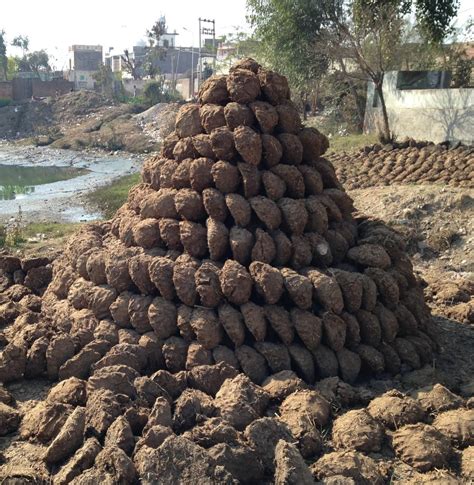 In Varanasi, administration pushes to use cow dung cakes for cremation