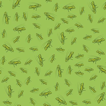 Green Cartoon Grasshoppers Seamless Pattern Stock Illustration - Download Image Now - iStock