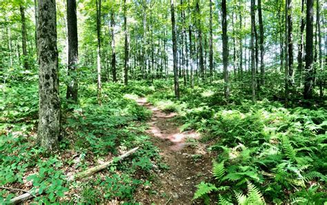 North Pocono Trails