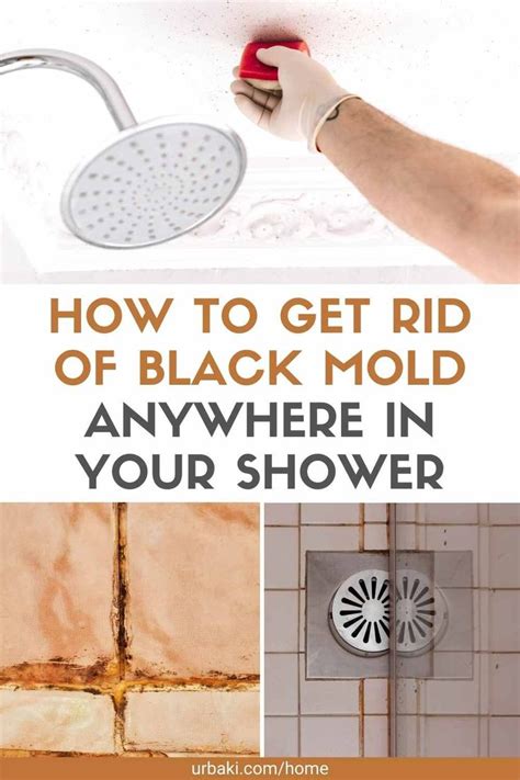 How to Get Rid of Black Mold Anywhere In Your Shower in 2021 | Black ...