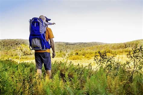 Reaching new heights: West Virginia Hiking Program - WVDNR