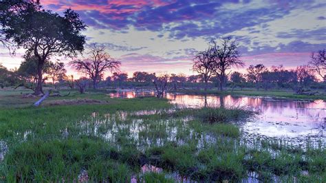 Okavango Delta, Botswana, Africa – Windows Spotlight Images