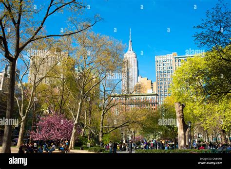 USA New York City Manhattan NY NYC Parks Madison Square Park view of ...