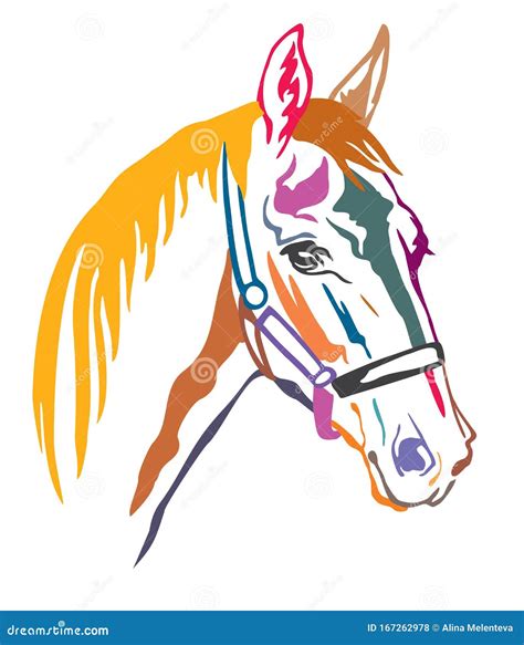 Halter Horse Clipart