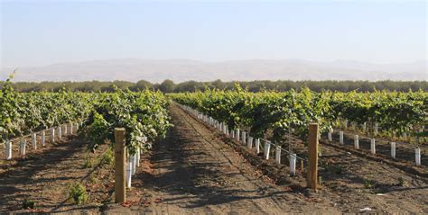 San Joaquin Valley Agriculture ~ MAVEN'S NOTEBOOK | California Water ...