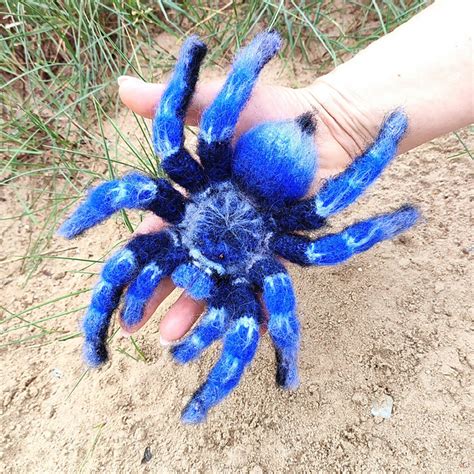 Ravelry: Cobalt Blue Tarantula pattern by Natali Batluk