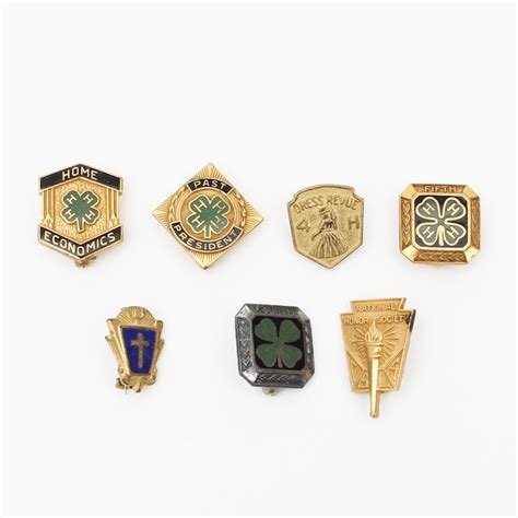 Vintage Lapel Pins | EBTH