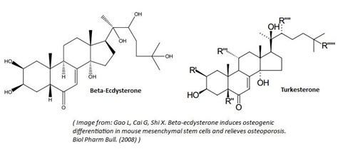 Ecdysteroids - Scientific Review on Usage, Dosage, Side Effects ...