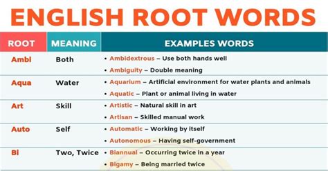 Best English Root Words List Examgoalguru - Riset