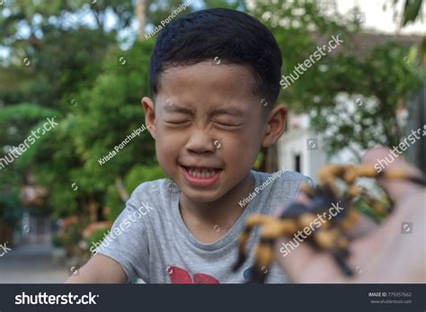 Father Give Mexican Red Knee Tarantula Stock Photo 779357662 | Shutterstock