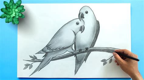 How To Draw A Lovebird