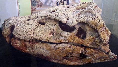 Crocodile pictures, Prehistoric, Prehistoric animals