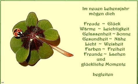 Heute ist Gelsensabines Geburtstag - herzlichen Glückwunsch ...