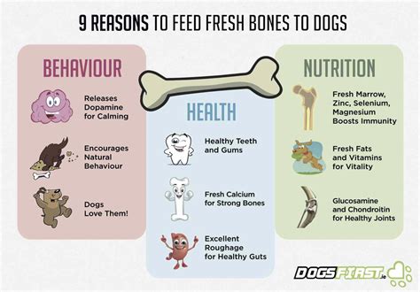 Raw Meaty Bones For Toy Dogs | Wow Blog