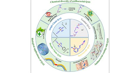 Quaternary Ammonium Salts: Insights into Synthesis and New Directions in Antibacterial ...