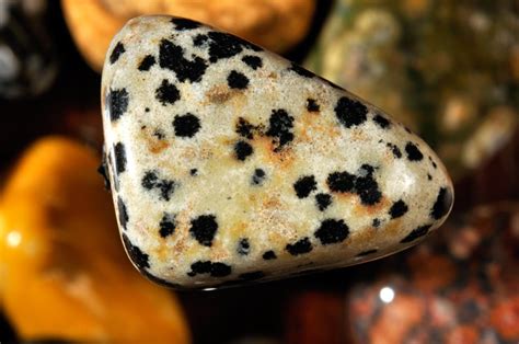 Dalmatian Stone | A Comprehensive Guide to Crystals and Their Meanings | POPSUGAR Beauty UK Photo 5