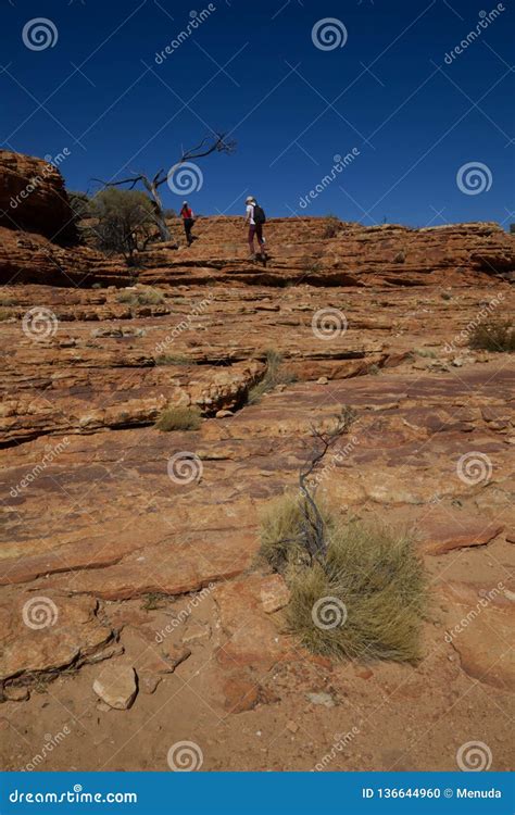 Hiking in King`s Canyon, Watarrka National Park, Australia. Editorial Image - Image of landscape ...