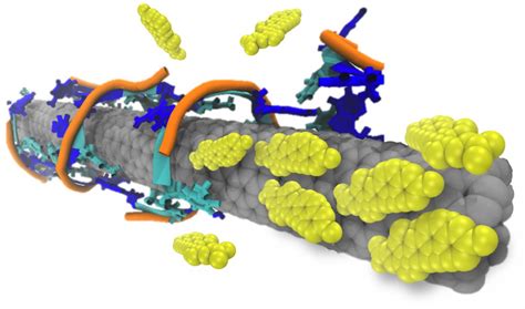 Carbon Nanotube Sensor [IMAGE] | EurekAlert! Science News Releases