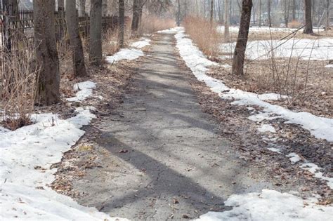 Premium Photo | A path in the park on the sides of the first snow