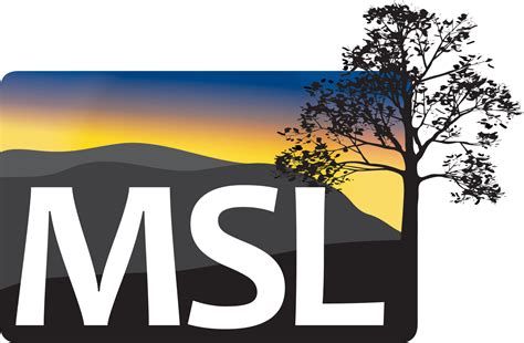 MSL Consulting LLC - Nonprofit Hub